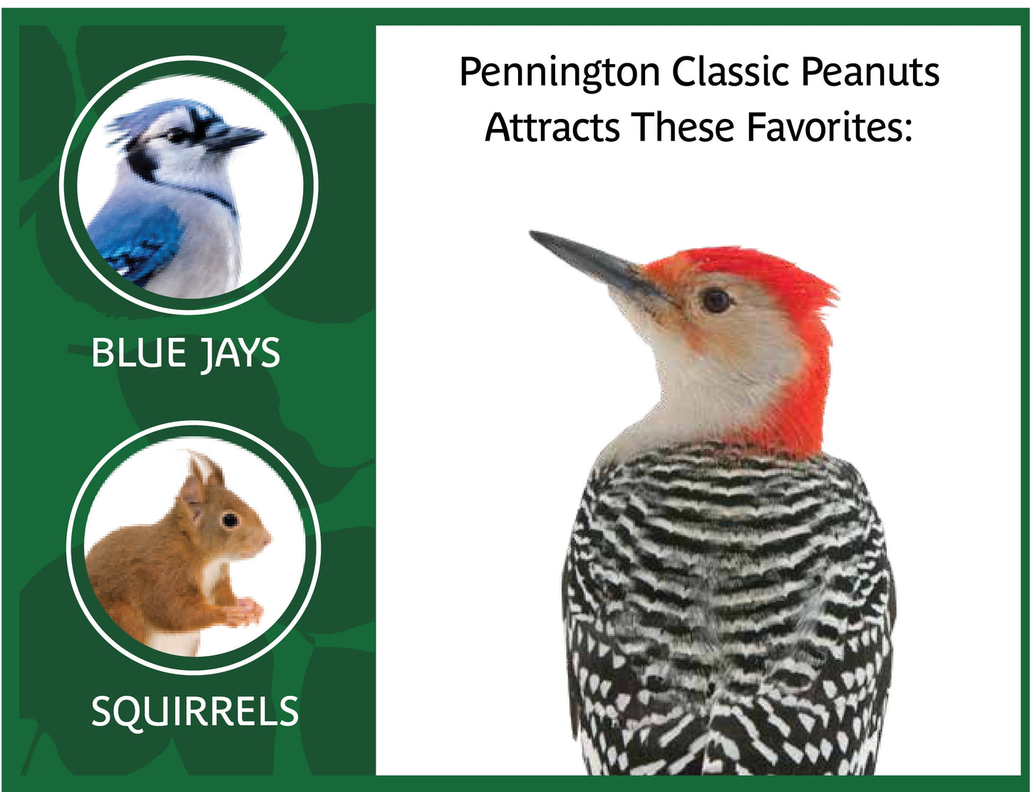 (2 Pack) Shelled Peanuts Wildlife and Wild Bird Food, 5 Lb. Bag, 1 Pack, Dry