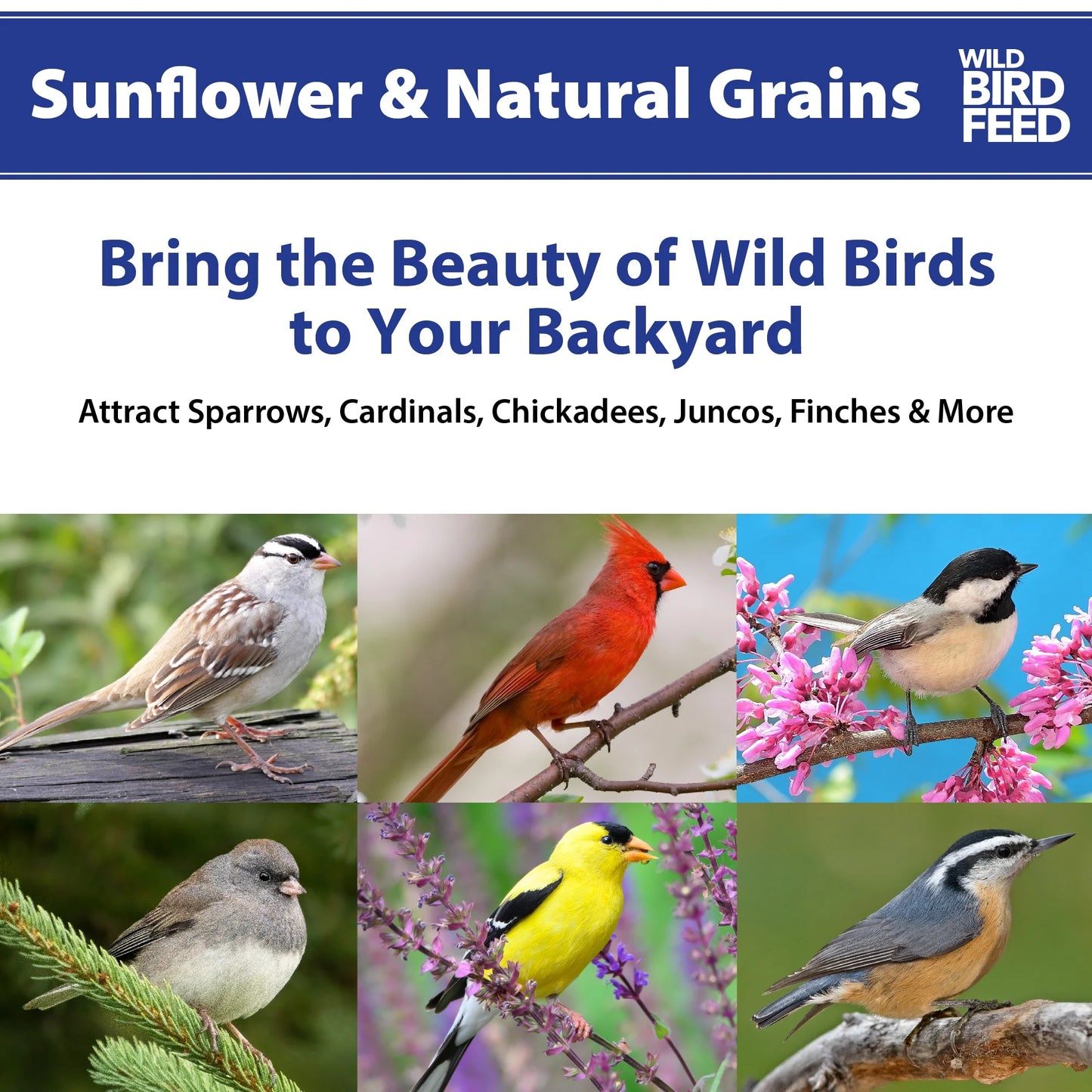 Sunflower & Natural Grains Wild Bird Feed, 5 Lb