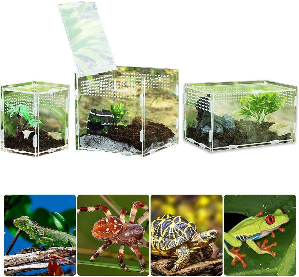 Reptile Breeding Box, Climbing Pet Breeding Box Transparent Reptile Breeding Box Acrylic Feeding Box 360 Degree High Transparent Magnetic Pet Climbing Terrarium