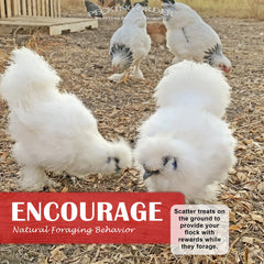 Dried Mealworms Backyard Chicken Feed & Treat, 10 Oz.