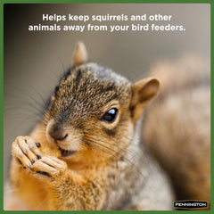 , Year-Round, Squirrel and Wildlife Food, 10 Lb. Bag, Dry, 1 Pack