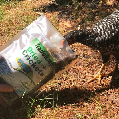 Natural Dried Crickets, Food for Bearded Dragons, Wild Birds, Chicken, Fish, & Reptiles (8 Oz Resealable Bag) Veterinary Certified