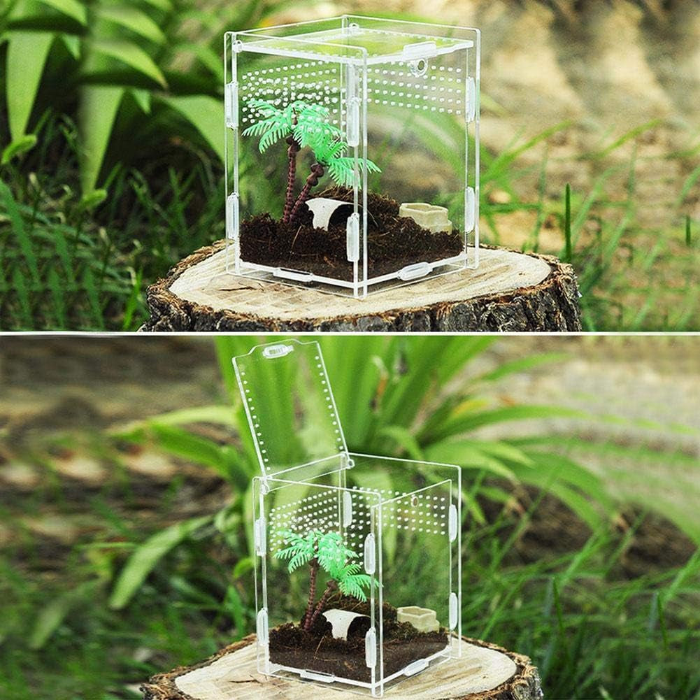Reptile Breeding Box, Climbing Pet Breeding Box Transparent Reptile Breeding Box Acrylic Feeding Box 360 Degree High Transparent Magnetic Pet Climbing Terrarium