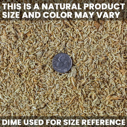Freeze-Dried Mysis Shrimp - Premium Fish Food, Tetra Fish Food, Tropical Fish Food - Ideal for Freshwater and Saltwater Fish, Cichlids, Angels, Seahorses - 3.56 Oz (101G)