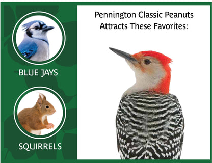 (2 Pack)  Shelled Peanuts Wildlife and Wild Bird Food, 5 Lb. Bag, 1 Pack, Dry
