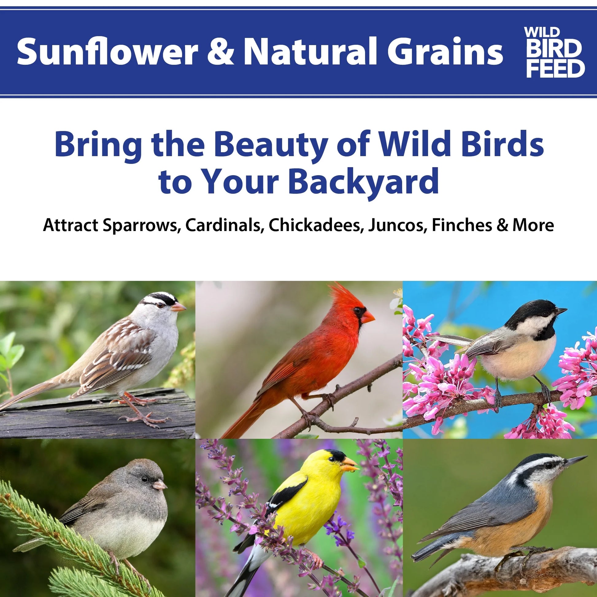 Sunflower & Natural Grains Wild Bird Feed, 5 Lb