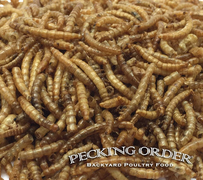 Dried Mealworms Backyard Chicken Feed & Treat, 10 Oz.