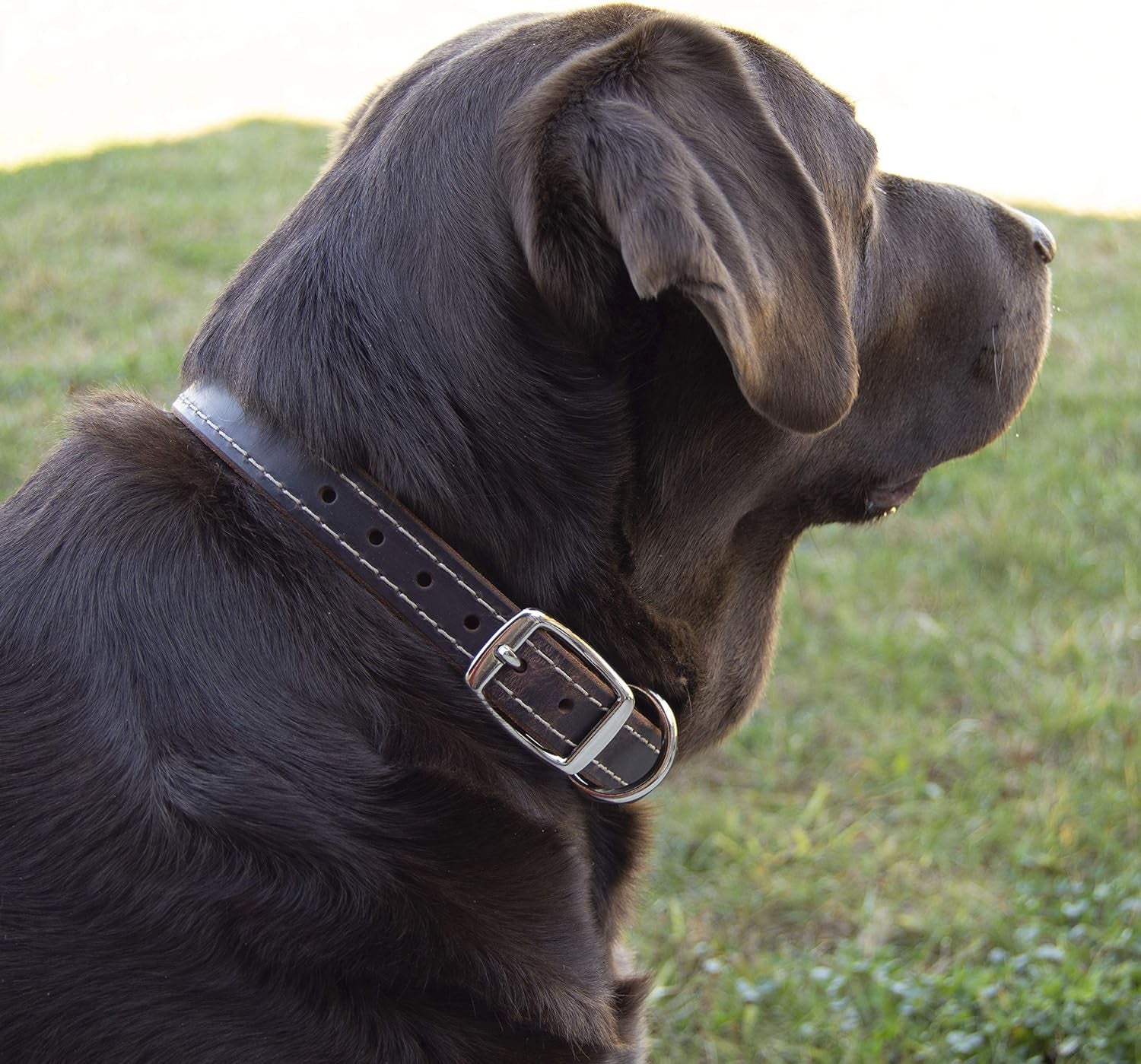 Dog Collar Accent Stitched, Medium, Large, XL, 1" Wide Amish Handmade (Extra Large - (22" - 26.5", Brown/Wheat Stitch)