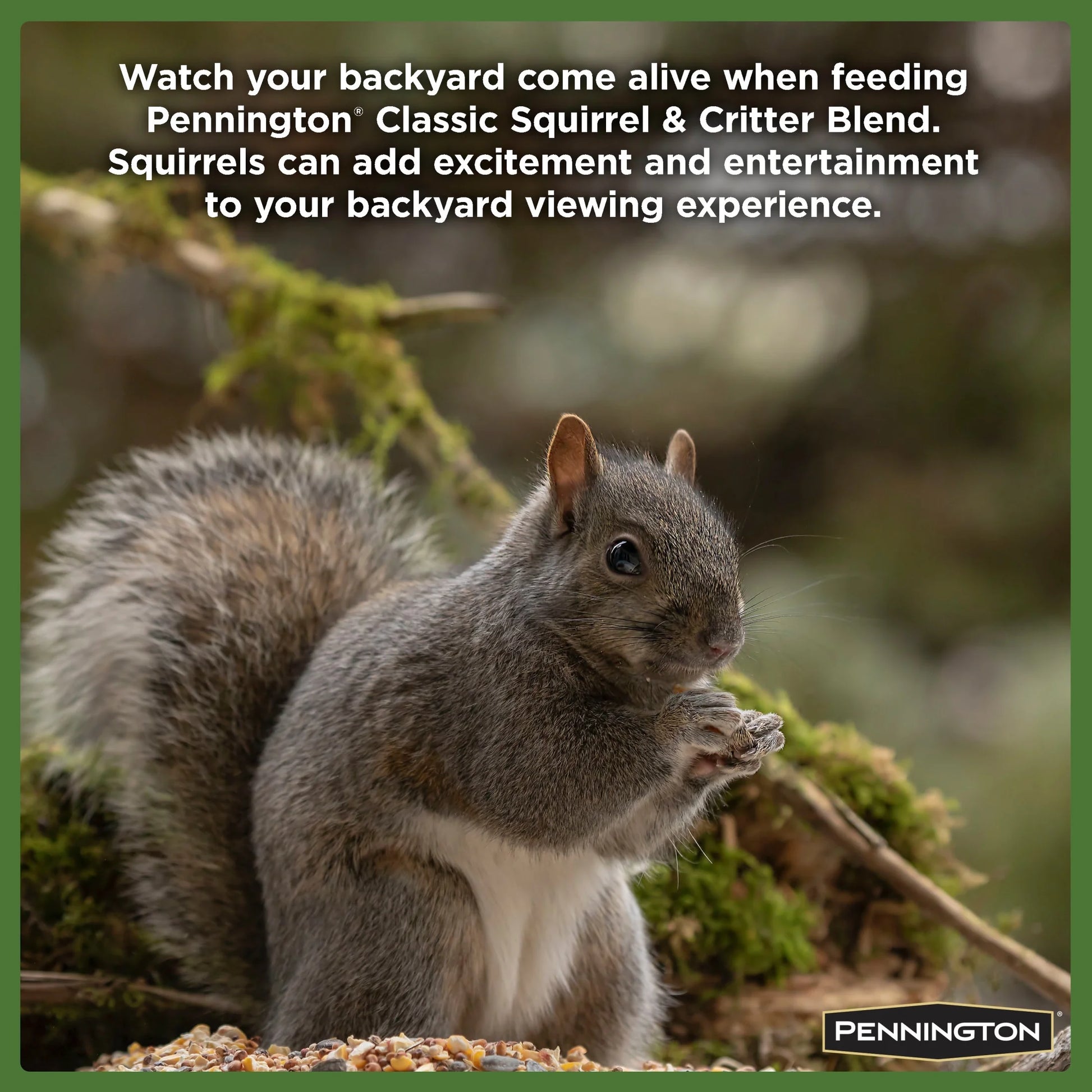 , Year-Round, Squirrel and Wildlife Food, 10 Lb. Bag, Dry, 1 Pack