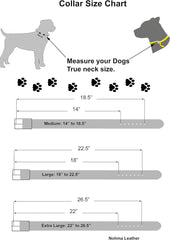 Dog Collar Accent Stitched, Medium, Large, XL, 1" Wide Amish Handmade (Extra Large - (22" - 26.5", Brown/Wheat Stitch)