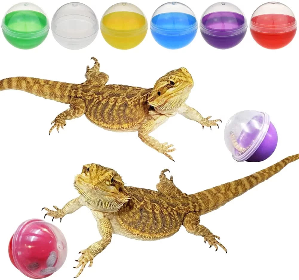 6Pcs Lizard Bearded Dragon Feeding Toys Ball Reptile Food Toys Ball Lizard Interactive Toys for Bearded Dragon, Lizard, Gecko and Small Animals